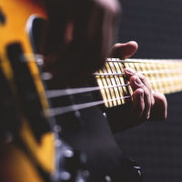 Gezocht: bassist